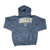 USA Graphic Embroidered Hoodie